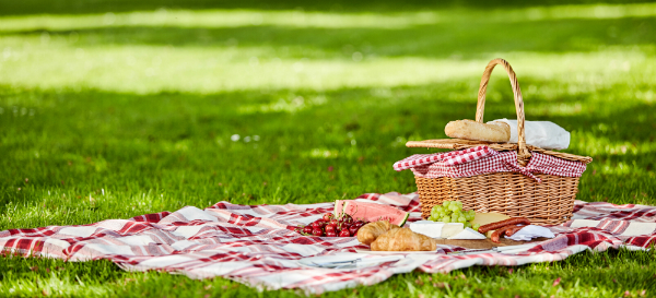 Zu einem Picknick gehört die passende Decke